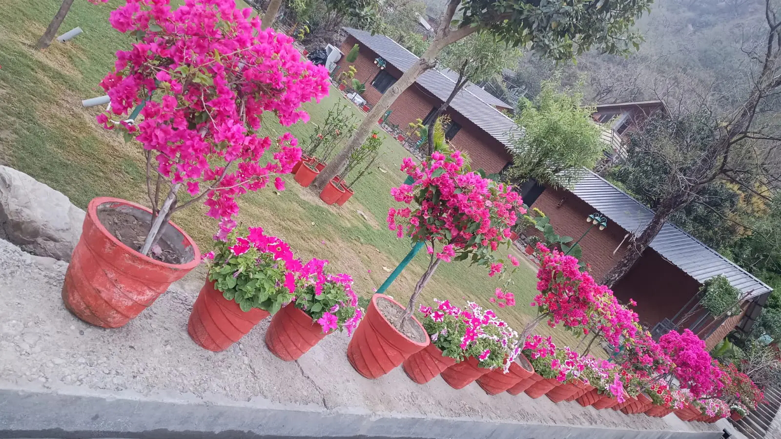 Nature